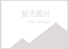 安西县山柏造纸有限公司